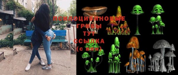 бутират Алзамай